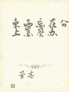 东西忘在公交车上怎么办