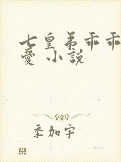 七皇弟乖乖让吾爱 小说