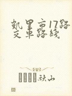 凯里市17路公交车路线