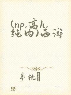 (np,高h,纯肉)西游