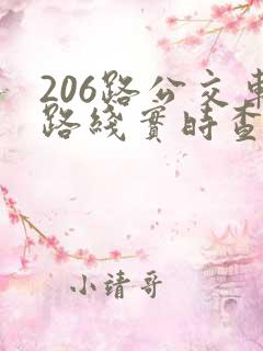 206路公交车路线实时查询