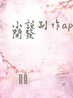 小说制作app开发
