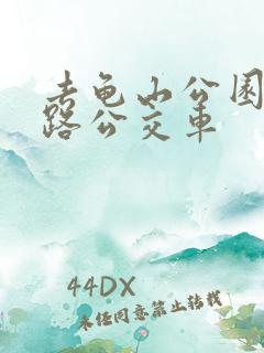 去龟山公园坐几路公交车