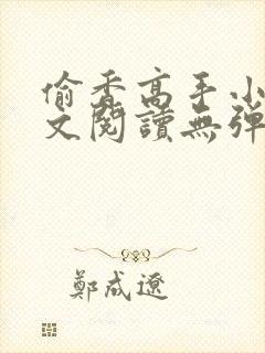 偷香高手小说全文阅读无弹窗