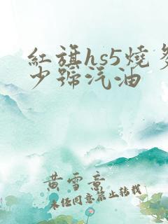 红旗hs5烧多少号汽油