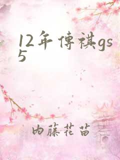 12年传祺gs5