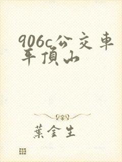 906c公交车平顶山