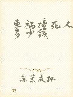 车祸撞死人赔偿多少钱