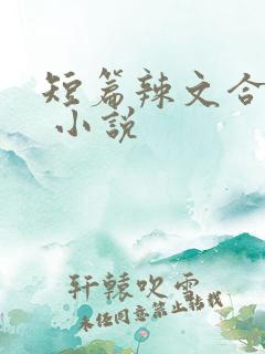 短篇辣文合集. 小说