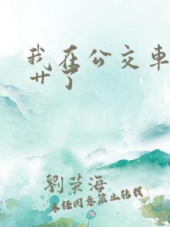 我在公交车上被艹了