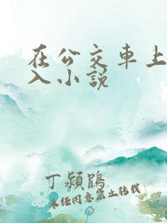 在公交车上被插入小说