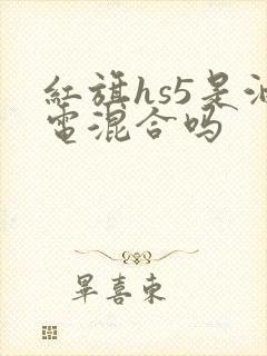 红旗hs5是油电混合吗