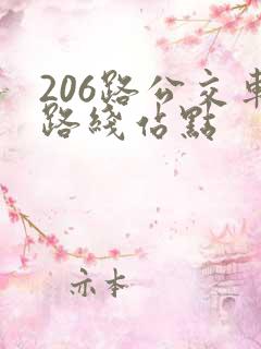 206路公交车路线站点