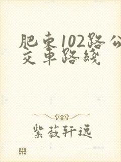 肥东102路公交车路线