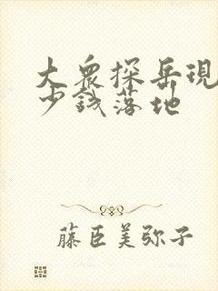 大众探岳现在多少钱落地