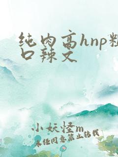 纯肉高hnp粗口辣文