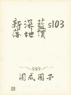 新深蓝sl03落地价