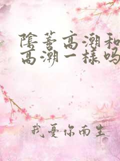 阴蒂高潮和阴道高潮一样吗
