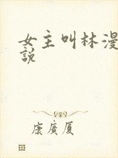 女主叫林漫的小说