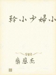 干小少妇小说