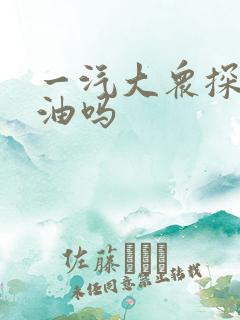 一汽大众探岳费油吗