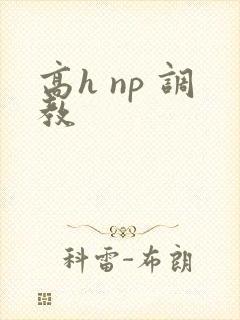 高h np 调教