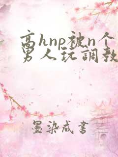 高hnp被n个男人玩调教