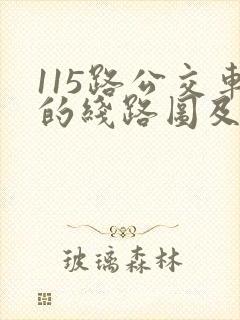 115路公交车的线路图及站点