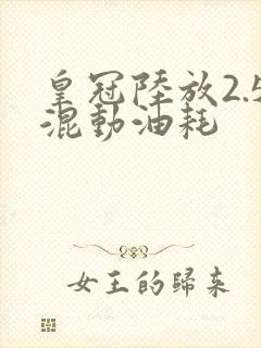 皇冠陆放2.5混动油耗