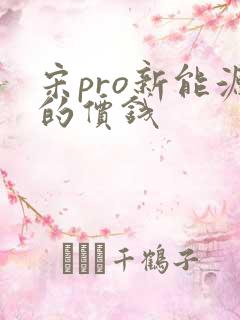 宋pro新能源的价钱 宋pro新能源的价钱