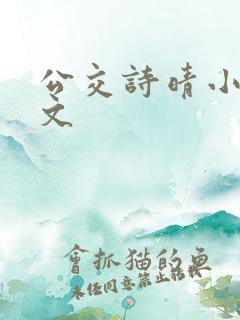 公交诗晴小说原文