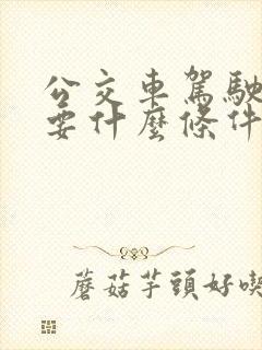 公交车驾驶员需要什么条件