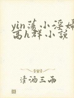 yin荡小淫妇高h群小说