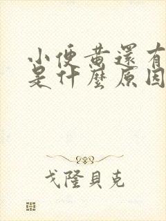 小便黄还有异味是什么原因引起的
