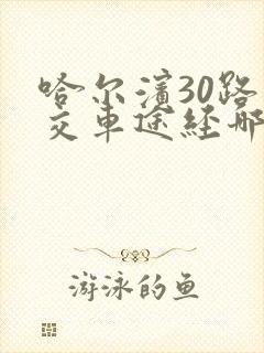 哈尔滨30路公交车途经哪些站