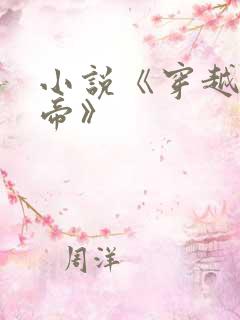 小说《穿越做皇帝》