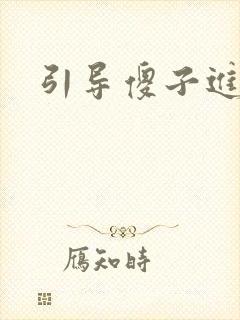 引导傻子进入