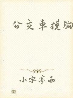 公交车摸胸 公交车摸胸