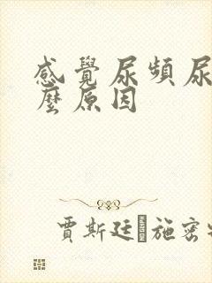 感觉尿频尿痛什么原因