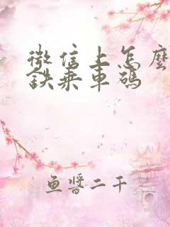 微信上怎么用地铁乘车码