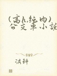 (高h,纯肉)公交车小说