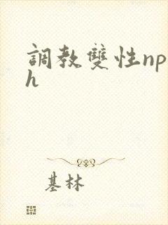 调教双性np高h