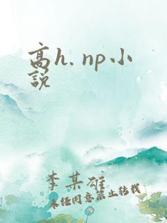 高h. np小说