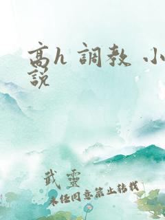 高h 调教 小说