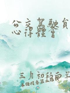 公交驾驶员事故心得体会