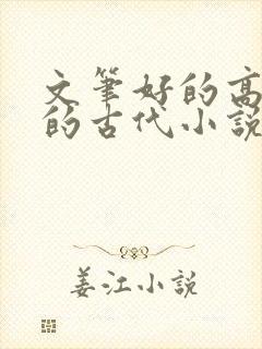 文笔好的高质量的古代小说言情