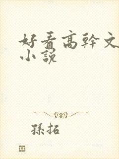 好看高干文京味小说