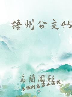 梧州公交45路