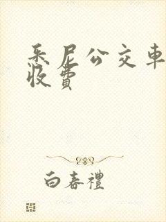 悉尼公交车怎么收费