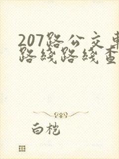 207路公交车路线路线查询